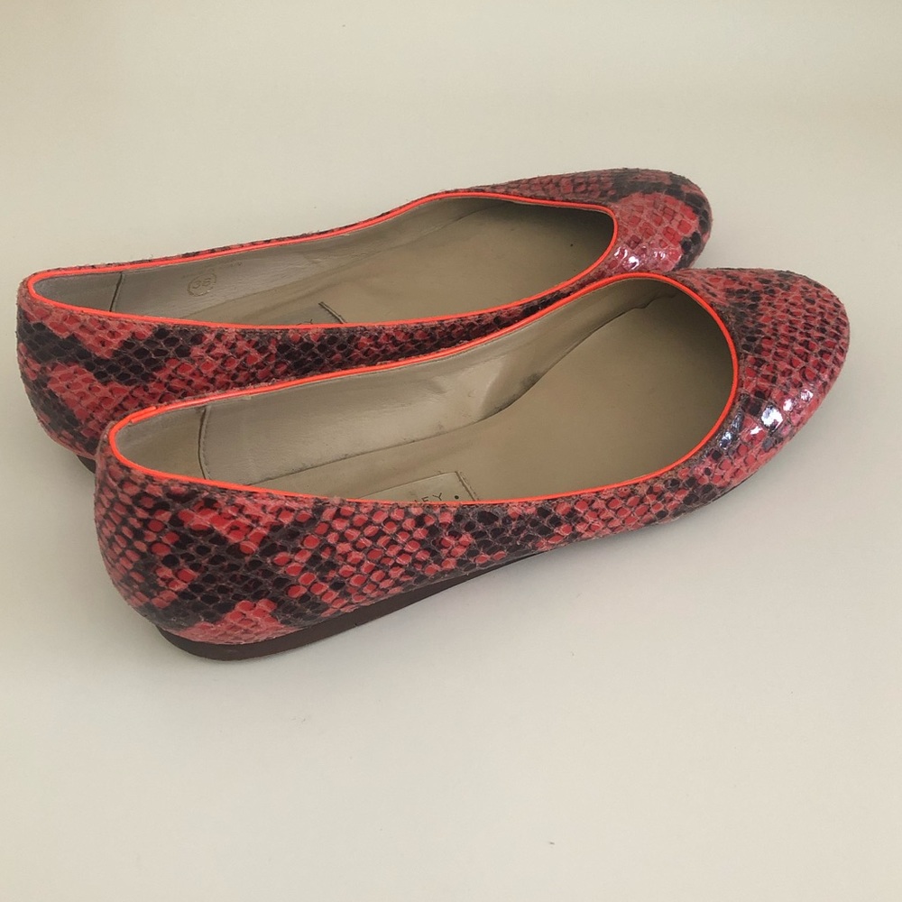 Orange Python Print Stella Mccartney Flats - image 6